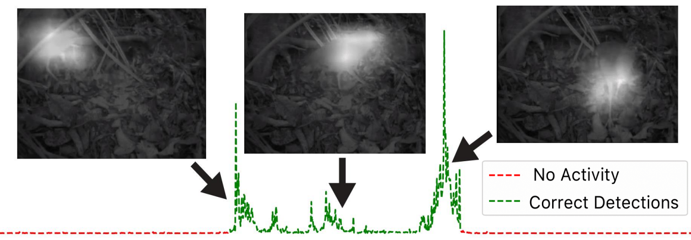 Towards Automated Ethogramming: Cognitively-Inspired Event Segmentation for Wildlife Monitoring