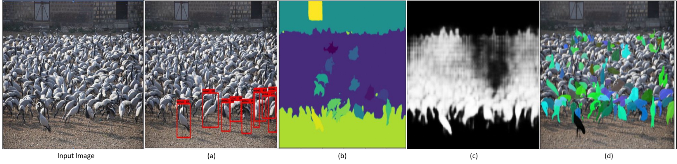 Long-term Monitoring of Bird Flocks in the Wild